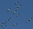 HoriconMarsh/093WPX500.jpg