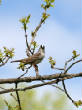 HoriconMarsh/414X800.jpg