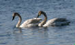 HoriconMarsh/TS087X450.jpg