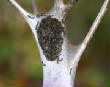 HoriconMarsh/W033X500.jpg