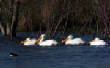 HoriconMarsh/WP059X450.jpg