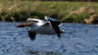 HoriconMarsh/WP201X450.jpg