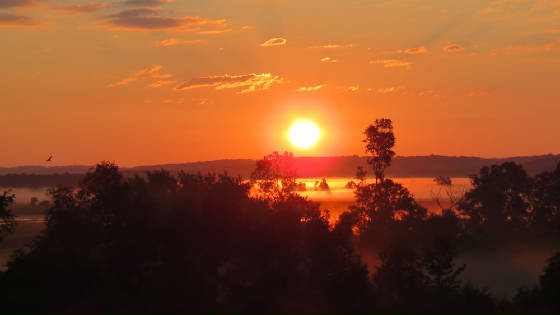 OWLET/VERNONSUNRISESX40HS7312012VJT013X1000.jpg