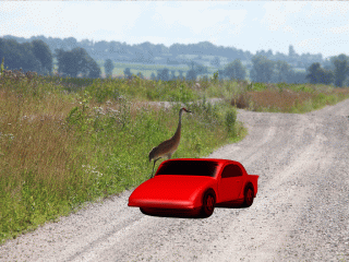 OWLET/TOURS.gif
