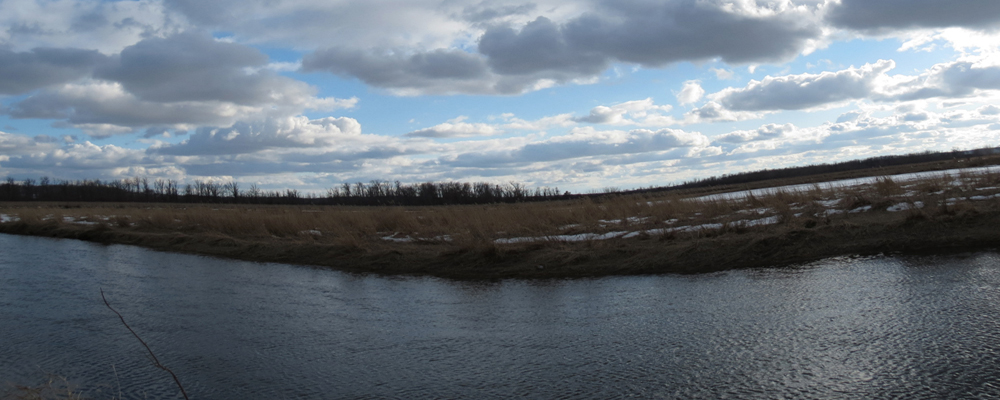 OWLET/VERNONMARSH3262013VJT0381000x2.jpg