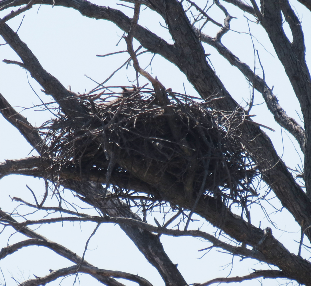 OWLET/VERNONMARSHUPPERLOWER40442013VJT052X1000.jpg