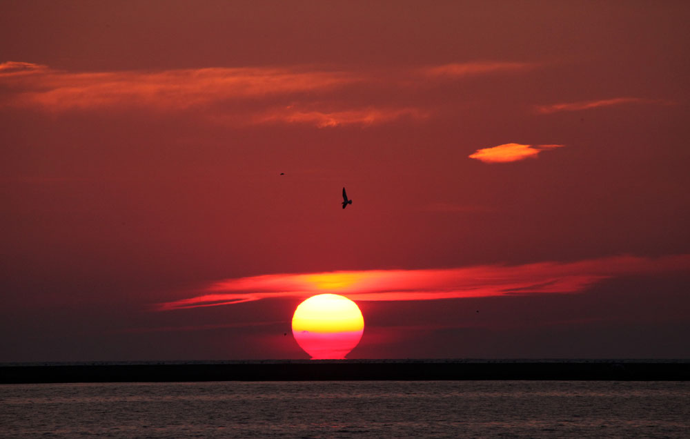 SUNRISE4X1000.jpg